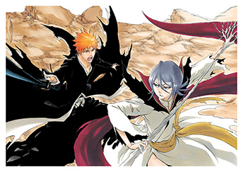 BLEACH ART SELECTION